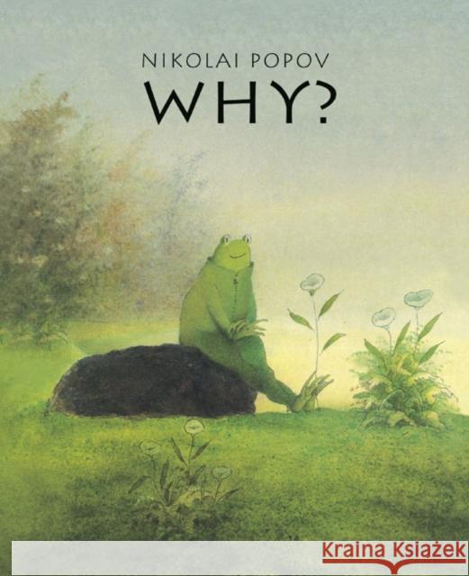 Why?: A Timeless Story Told Without Words Popov, Nikolai 9781662650833