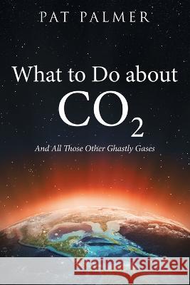 What to Do About Co2: And All Those Other Ghastly Gases Pat Palmer 9781665724487