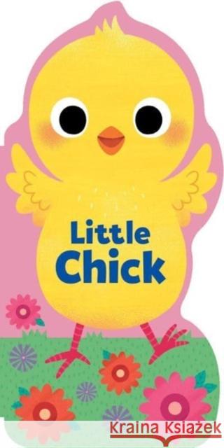 Little Chick Maggie Fischer 9781667206097 Silver Dolphin Books