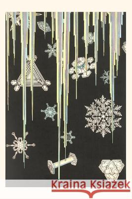 Vintage Journal Icicles and Snowflakes Found Image Press   9781669503033 Found Image Press