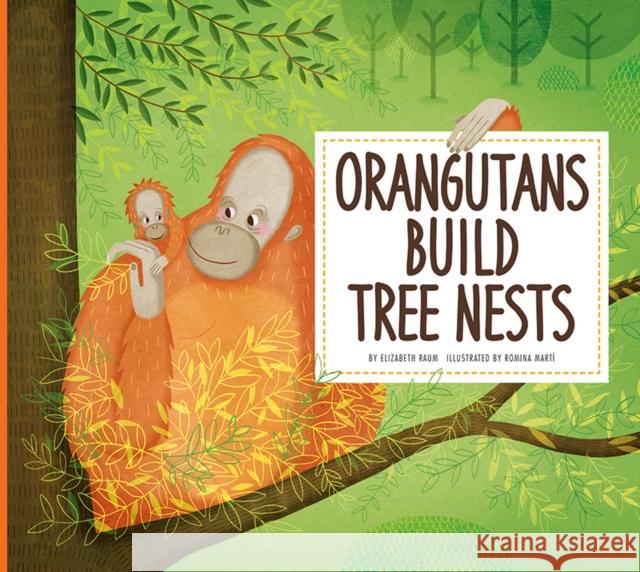 Orangutans Build Tree Nests: Animal Builders Elizabeth Raum 9781681521534 Amicus Ink