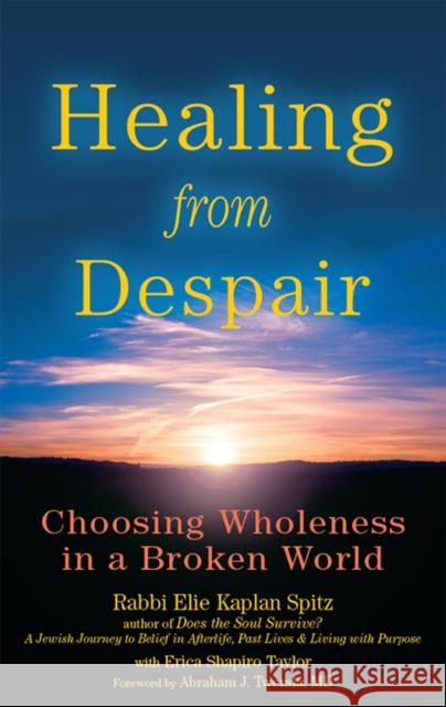 Healing from Despair: Choosing Wholeness in a Broken World Elie Kaplan Spitz Erica Shapiro Taylor Abraham J. Twerski 9781683361077 Jewish Lights Publishing