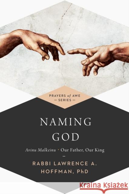 Naming God: Avinu Malkeinu--Our Father, Our King Lawrence A., Rabbi Hoffman 9781683362173 Jewish Lights Publishing