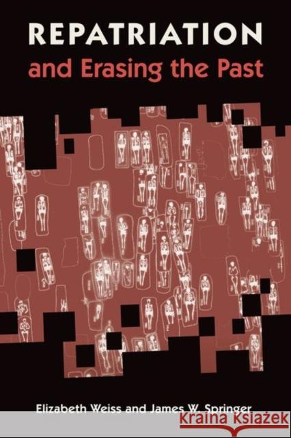 Repatriation and Erasing the Past Elizabeth Weiss James W. Springer 9781683401575 University of Florida Press