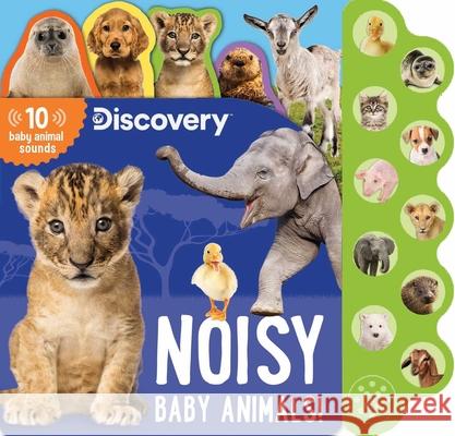 Discovery: Noisy Baby Animals! Editors of Silver Dolphin Books 9781684126866 Silver Dolphin Books