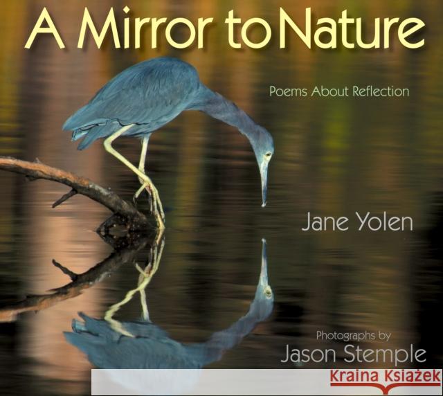 A Mirror to Nature: Poems about Reflection Jane Yolen Jason Stemple 9781684372782 Wordsong