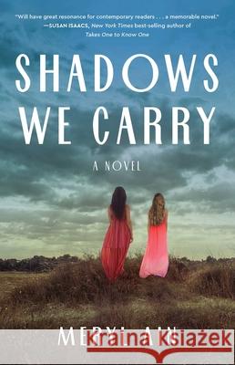 Shadows We Carry Ain, Meryl 9781684632008 SparkPress