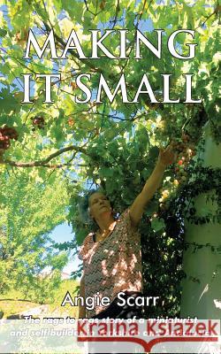 Making It Small: The rags to rags story of a miniaturist and self builder in Yorkshire and Andalucía Angie Scarr 9781727092998 Frank Fisher