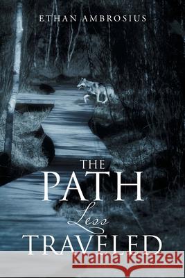 The Path Less Traveled Ethan Ambrosius 9781728321097
