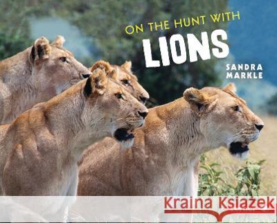 On the Hunt with Lions Sandra Markle 9781728456294
