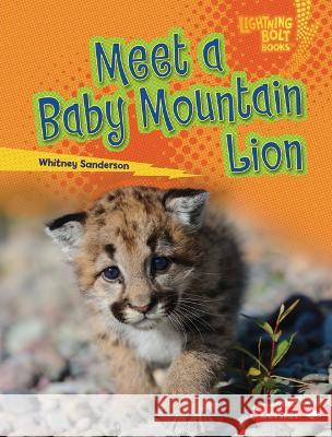 Meet a Baby Mountain Lion Whitney Sanderson 9781728491127