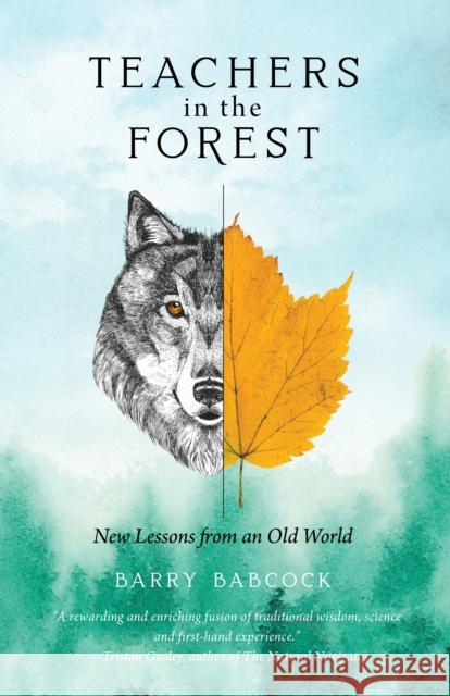 Teachers in the Forest: New Lessons from an Old World Barry Babcock 9781736089439 Riverfeet Press