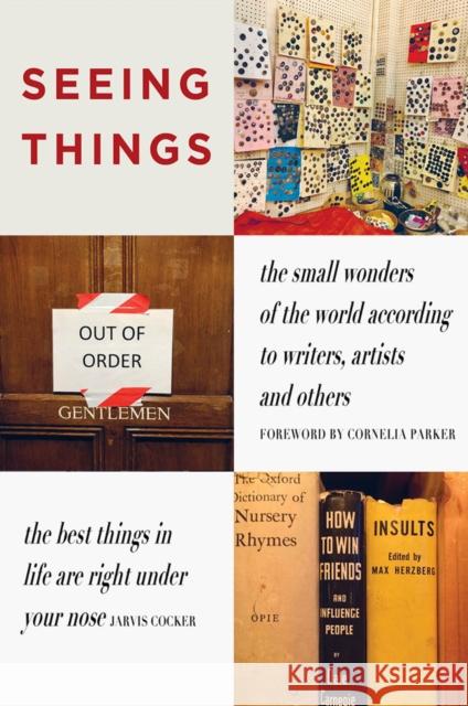 SEEING THINGS: the small wonders of the world according to writers, artists and others  9781739597627 Redstone Press