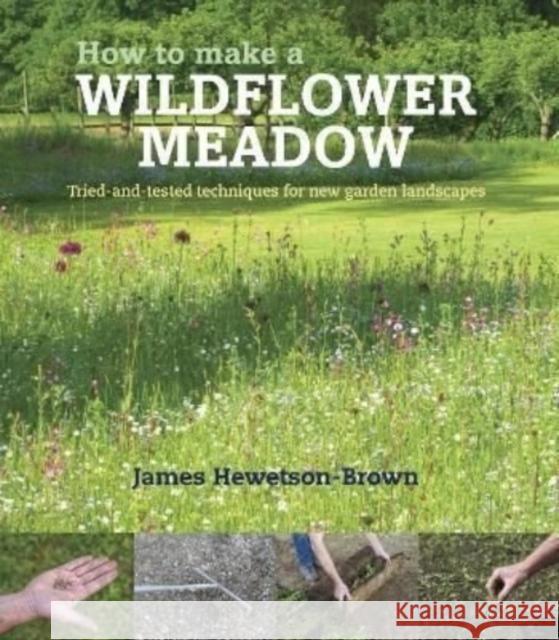 How to make a wildflower meadow: Tried-And-Tested Techniques for New Garden Landscapes James Hewetson-Brown 9781739903916