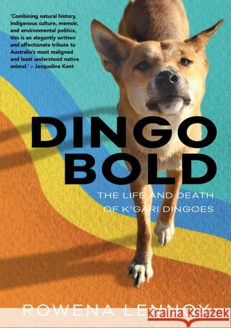 Dingo Bold: The Life and Death of K'gari Dingoes Rowena Lennox 9781743327319 Sydney University Press