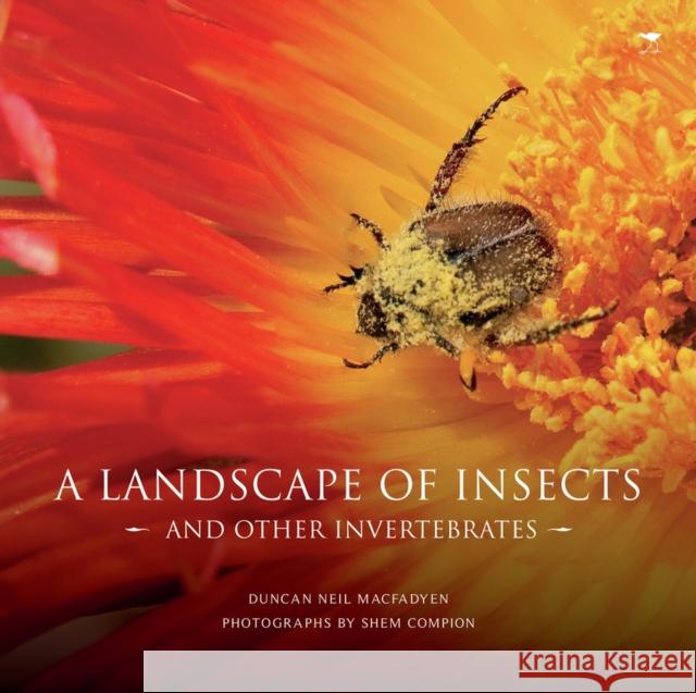 Landscape of Insects : And Other Invertebrates Duncan Macfadyen 9781770097674 JACANA MEDIA