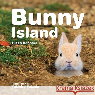 Bunny Island Philippa Kennard Yukihiro Fukuda 9781770856578 Firefly Books