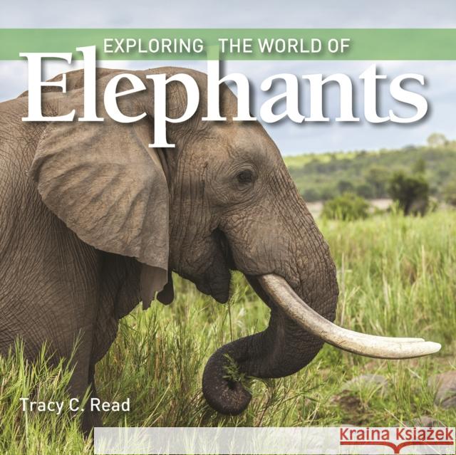 Exploring the World of Elephants Tracy Read 9781770859449 Firefly Books