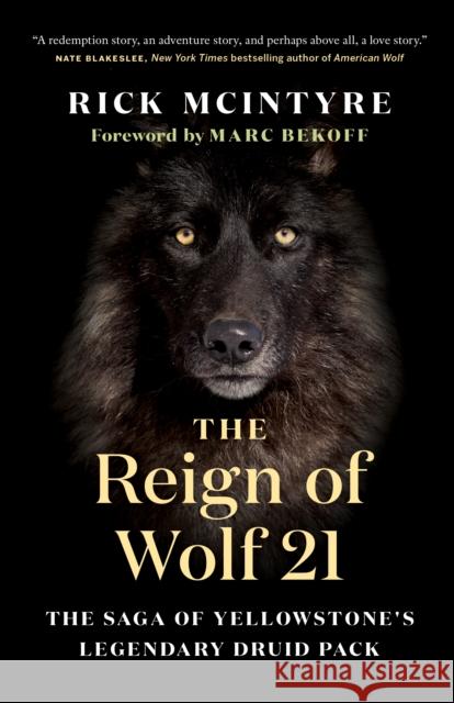 The Reign of Wolf 21: The Saga of Yellowstone's Legendary Druid Pack Rick McIntyre Marc Bekoff 9781771649964 Greystone Books