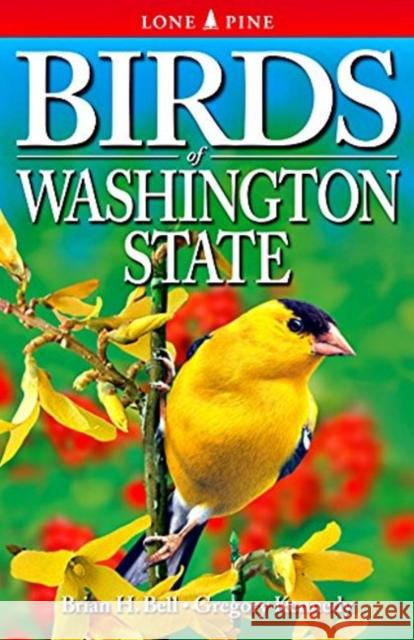 Birds of Washington State Brian Bell, Gregory Kennedy 9781772130232 Lone Pine Publishing,Canada