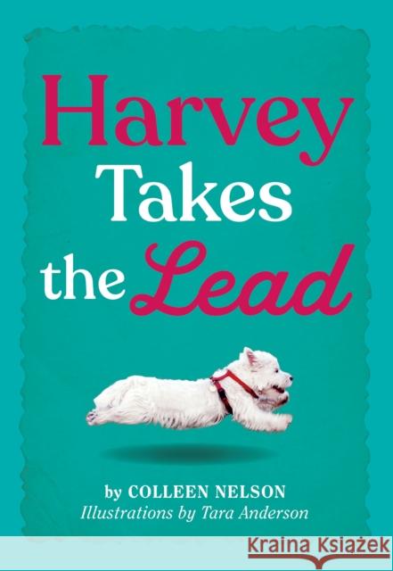 Harvey Takes the Lead Colleen Nelson Tara Anderson 9781772782400