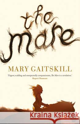 The Mare : Nominated for the Baileys Women's Prize for Fiction 2017 Gaitskill, Mary 9781781255940 Serpent's Tail