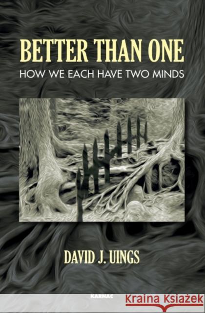 Better Than One: How We Each Have Two Minds David J. Uings 9781782201731 Karnac Books