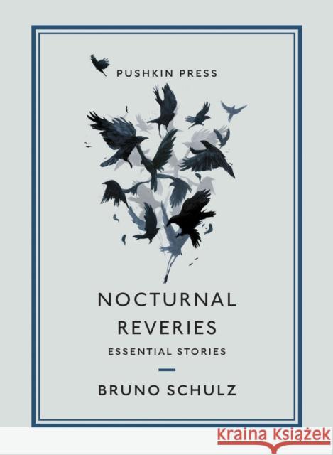Nocturnal Apparitions: Essential Stories Bruno Schulz 9781782277897 Pushkin Press