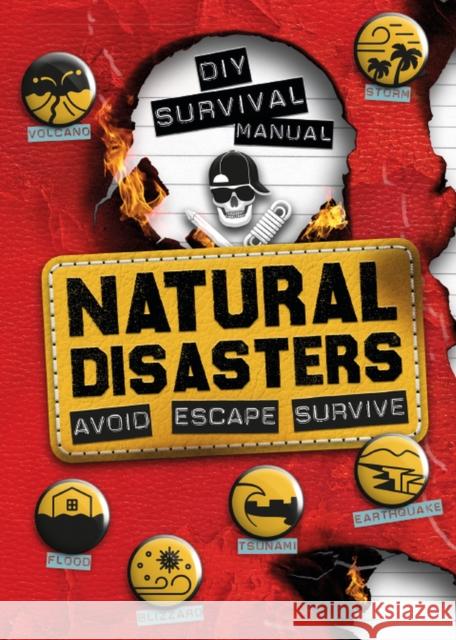 DIY Survival Manual: Natural Disasters: Avoid. Escape. Survive. Hubbard, Ben 9781783124763 Carlton Kids