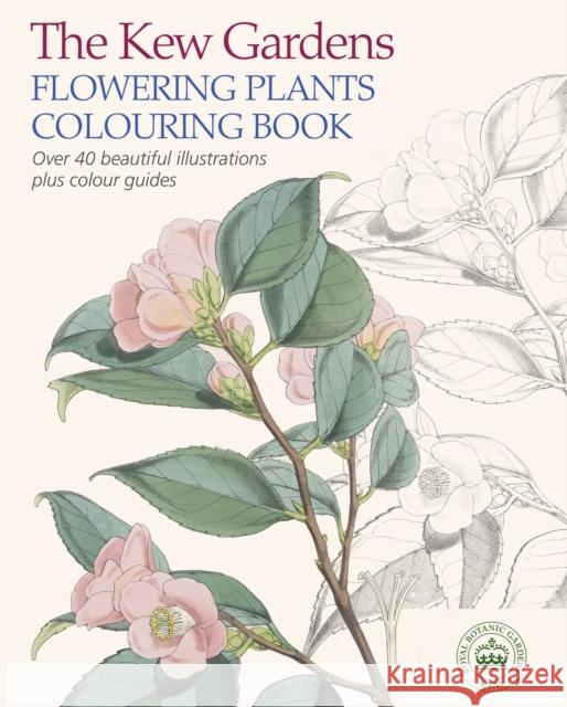 The Kew Gardens Flowering Plants Colouring Book: Over 40 Beautiful Illustrations Plus Colour Guides The Royal Botanic Gardens Kew 9781784045616