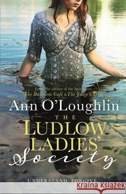 The Ludlow Ladies' Society Ann O'Loughlin 9781785301575 