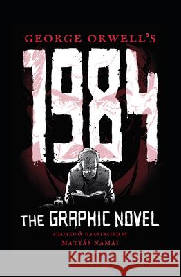 George Orwell's 1984: The Graphic Novel Maty Namai George Orwell 9781786750570 Palazzo Editions Ltd
