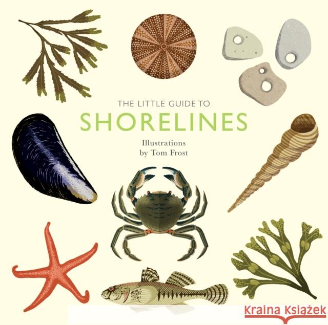 The Little Guide to Shorelines Alison Davies Tom Frost 9781787139596 Quadrille Publishing Ltd
