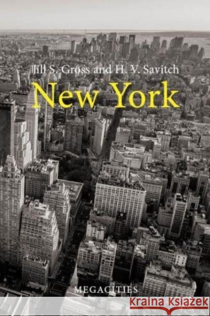 New York Jill S. Gross (Hunter College, CUNY) H. V. Savitch (Wilson Center, Washington  9781788212038