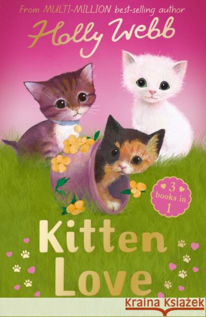 Kitten Love: A Collection of Stories: Lost in the Storm, The Curious Kitten and The Homeless Kitten Holly Webb 9781788954259