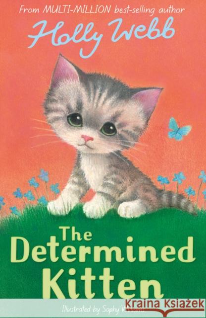 The Determined Kitten Holly Webb 9781788956505