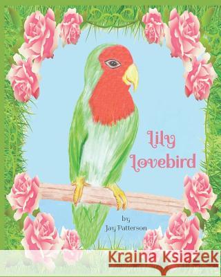 Lily Lovebird by Jay Patterson: Charming picture book story which follows Lily, a lonely little lovebird who finds a friend and then discovers the hap Patterson, Jay 9781793080790