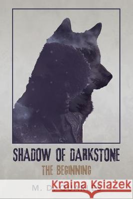 Shadow of Darkstone: The Beginning M D Quarles 9781796054477