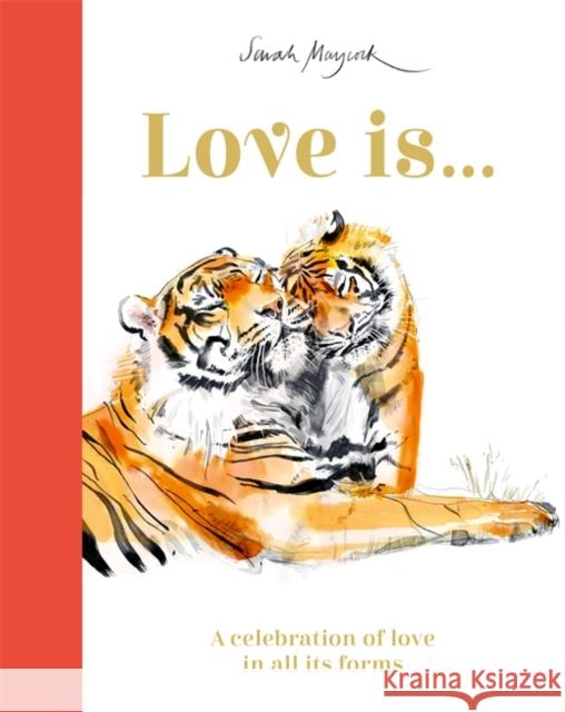 Love Is...: A Celebration of Love in All Its Forms Lily Murray 9781800782259 Templar Publishing