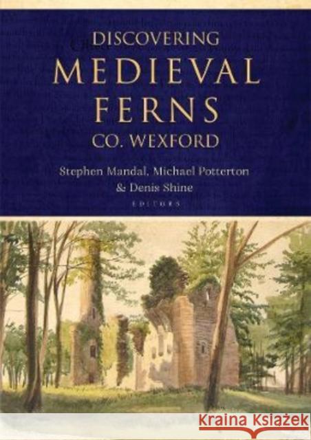Discovering Medieval Ferns, Co. Wexford Michael Potterton, Stephen Mandal, Denis Shine 9781801510219