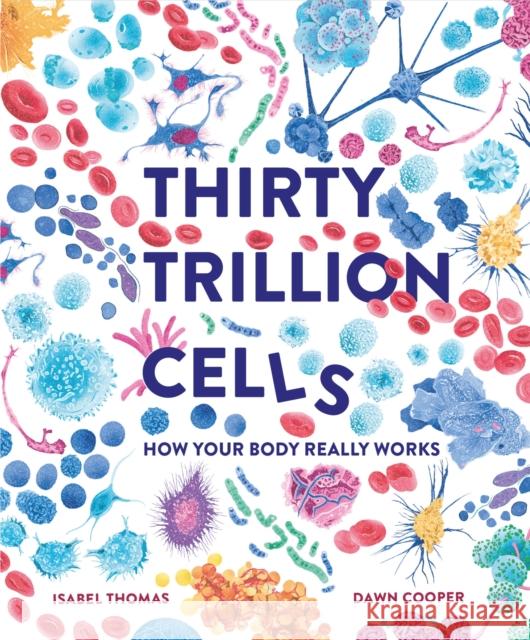 Thirty Trillion Cells: How Your Body Really Works Thomas, Isabel 9781803380131