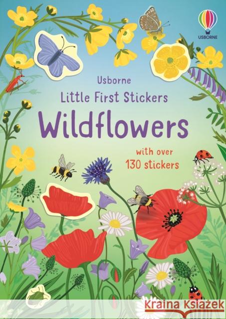 Little First Stickers Wildflowers Caroline Young 9781803704593
