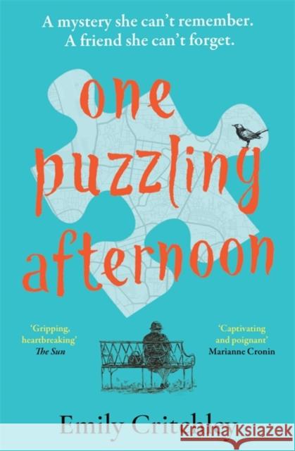 One Puzzling Afternoon: The most compelling, heartbreaking debut mystery Emily Critchley 9781804181287 Bonnier Books Ltd