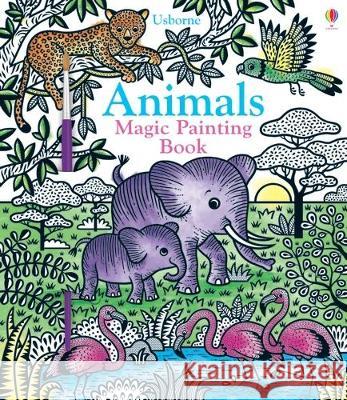 Animals Magic Painting Book Sam Taplin Federica Iossa 9781805071396 Usborne Books