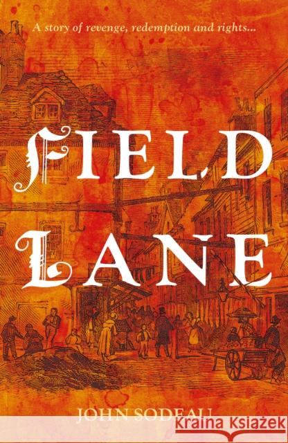 Field Lane John Sodeau 9781805142355 Troubador Publishing