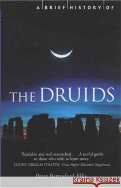 A Brief History of the Druids Peter B Ellis 9781841194684 Little, Brown Book Group