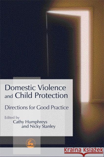 Domestic Violence and Child Protection: Directions for Good Practice Stanley, Nicky 9781843102762