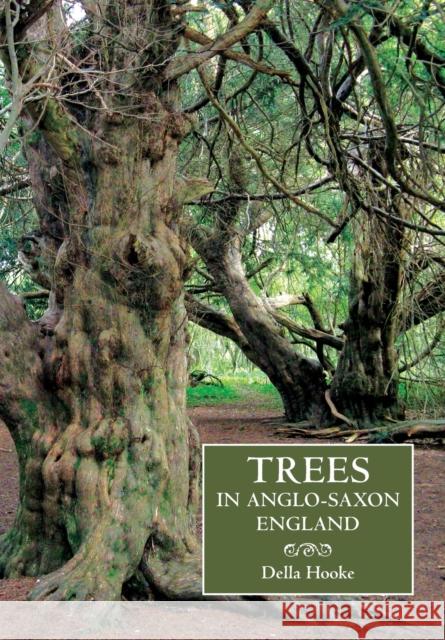Trees in Anglo-Saxon England: Literature, Lore and Landscape Hooke, Della 9781843838296
