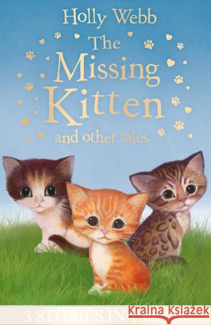 The Missing Kitten and other tales: The Missing Kitten, The Frightened Kitten, The Kidnapped Kitten Webb, Holly 9781847159502