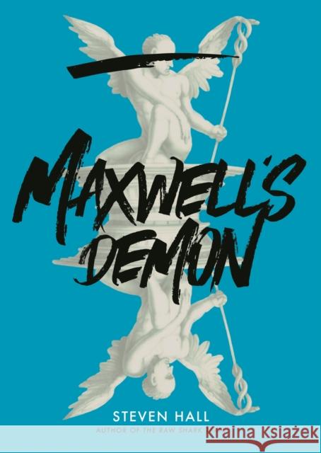 Maxwell's Demon Steven Hall 9781847672469